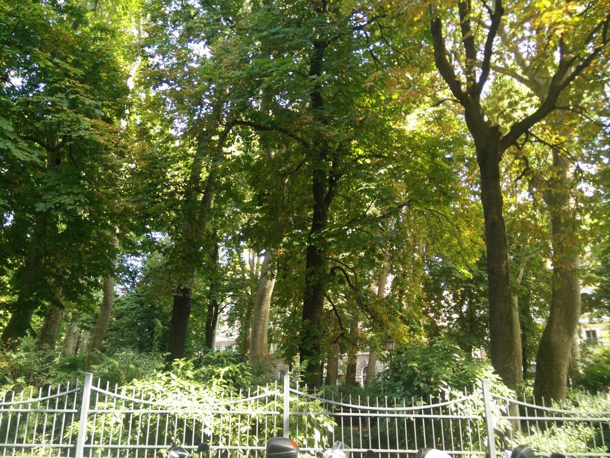 Casa Juli: 70Mq-Centro-Trieste Luaran gambar